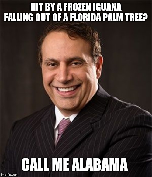 ALEXANDER SHUNNARAH  | HIT BY A FROZEN IGUANA FALLING OUT OF A FLORIDA PALM TREE? CALL ME ALABAMA | image tagged in alexander shunnarah | made w/ Imgflip meme maker