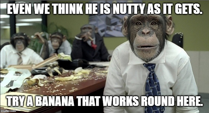 New Monkey in the Nuthouse | EVEN WE THINK HE IS NUTTY AS IT GETS. TRY A BANANA THAT WORKS ROUND HERE. | image tagged in new monkey in the nuthouse | made w/ Imgflip meme maker