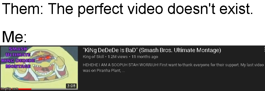 Say What Now? | Them: The perfect video doesn't exist. Me: | image tagged in memes,king dedede,super smash bros | made w/ Imgflip meme maker
