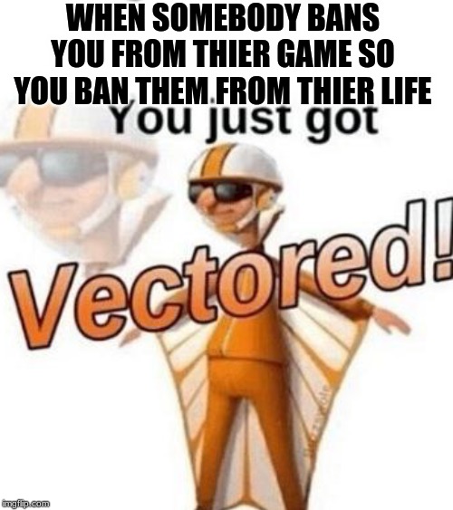 WHEN SOMEBODY BANS YOU FROM THIER GAME SO YOU BAN THEM FROM THIER LIFE | image tagged in you just got vectored | made w/ Imgflip meme maker