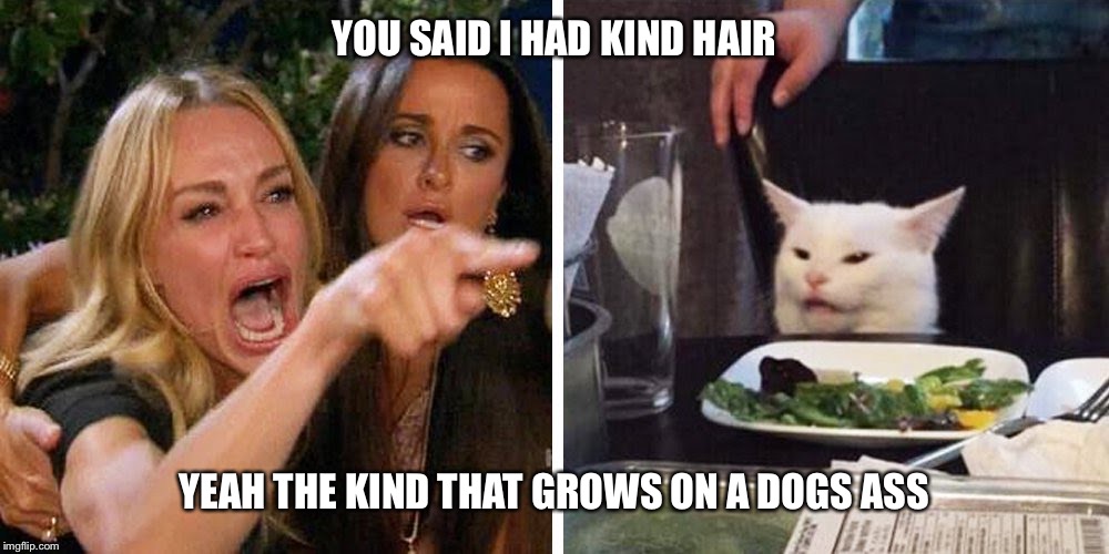 Smudge the cat | YOU SAID I HAD KIND HAIR; YEAH THE KIND THAT GROWS ON A DOGS ASS | image tagged in smudge the cat | made w/ Imgflip meme maker
