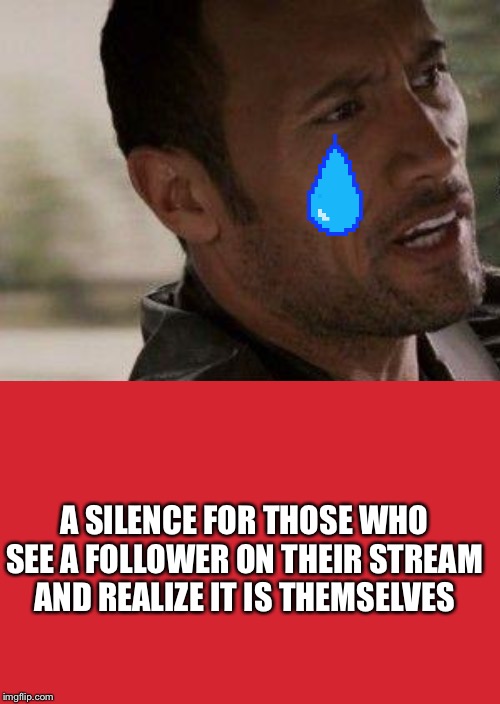 A SILENCE FOR THOSE WHO SEE A FOLLOWER ON THEIR STREAM AND REALIZE IT IS THEMSELVES | made w/ Imgflip meme maker