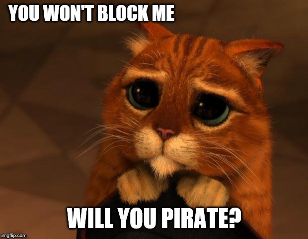 puss in boots eyes | YOU WON'T BLOCK ME WILL YOU PIRATE? | image tagged in puss in boots eyes | made w/ Imgflip meme maker