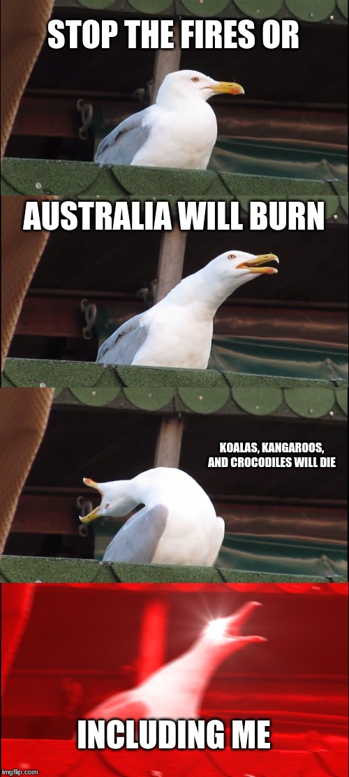 Inhaling Seagull | STOP THE FIRES OR; AUSTRALIA WILL BURN; KOALAS, KANGAROOS, AND CROCODILES WILL DIE; INCLUDING ME | image tagged in memes,inhaling seagull | made w/ Imgflip meme maker