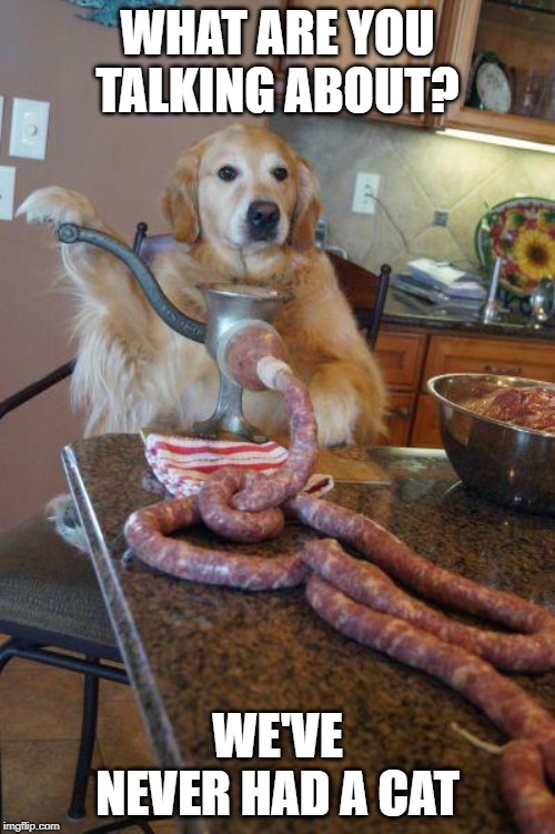 dog sausages | WHAT ARE YOU TALKING ABOUT? WE'VE NEVER HAD A CAT | image tagged in dog sausages | made w/ Imgflip meme maker