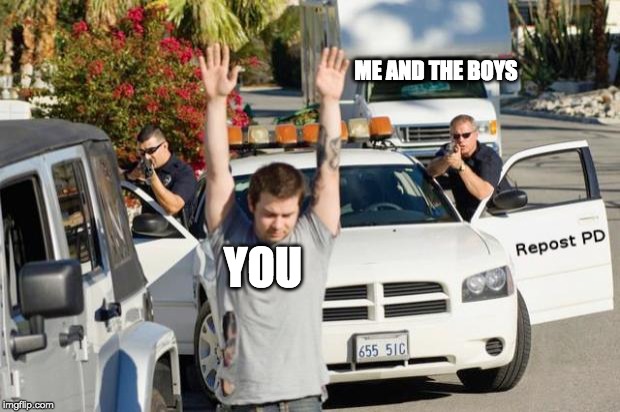 Repost Police | YOU ME AND THE BOYS | image tagged in repost police | made w/ Imgflip meme maker