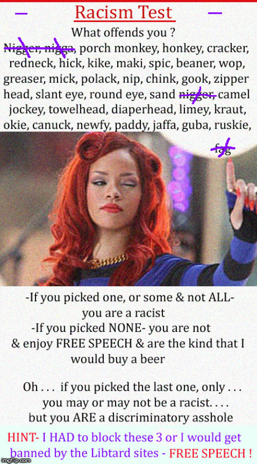Are You a Racist ?
Take THE Test | image tagged in racism,racist,politics,liberal logic,rihanna,babes | made w/ Imgflip meme maker