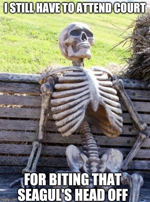 Waiting Skeleton Meme | I STILL HAVE TO ATTEND COURT FOR BITING THAT SEAGUL'S HEAD OFF | image tagged in memes,waiting skeleton | made w/ Imgflip meme maker