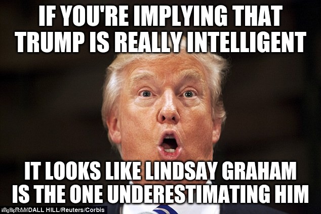Trump stupid face | IF YOU'RE IMPLYING THAT TRUMP IS REALLY INTELLIGENT IT LOOKS LIKE LINDSAY GRAHAM IS THE ONE UNDERESTIMATING HIM | image tagged in trump stupid face | made w/ Imgflip meme maker