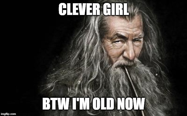 Clever Gandalf | CLEVER GIRL BTW I'M OLD NOW | image tagged in clever gandalf | made w/ Imgflip meme maker