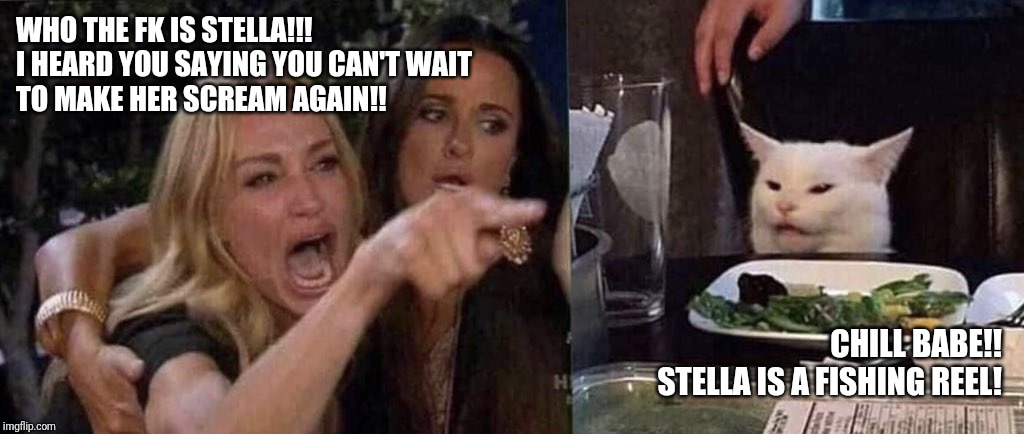 woman yelling at cat | WHO THE FK IS STELLA!!! 
I HEARD YOU SAYING YOU CAN'T WAIT
TO MAKE HER SCREAM AGAIN!! CHILL BABE!! 
STELLA IS A FISHING REEL! | image tagged in woman yelling at cat | made w/ Imgflip meme maker
