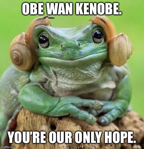 OBE WAN KENOBE. YOU’RE OUR ONLY HOPE. | made w/ Imgflip meme maker