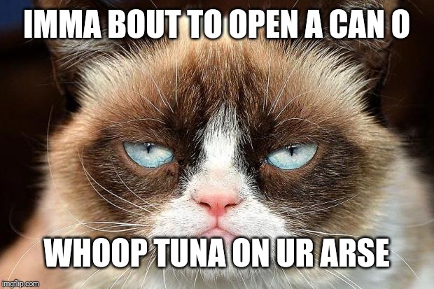 Grumpy Cat Not Amused Meme | IMMA BOUT TO OPEN A CAN O; WHOOP TUNA ON UR ARSE | image tagged in memes,grumpy cat not amused,grumpy cat | made w/ Imgflip meme maker