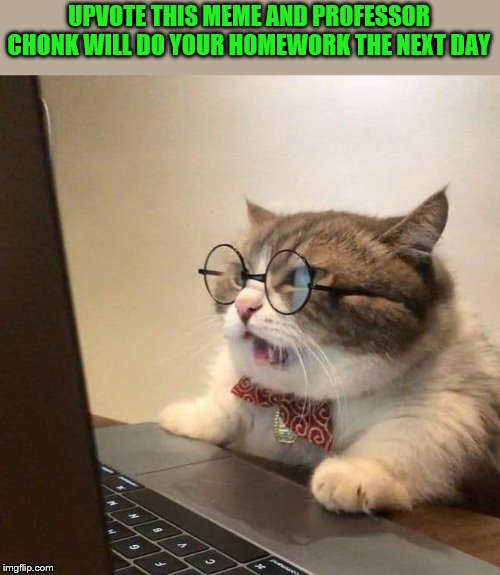 Its a Good Deal | UPVOTE THIS MEME AND PROFESSOR CHONK WILL DO YOUR HOMEWORK THE NEXT DAY | image tagged in cats,upvotes | made w/ Imgflip meme maker