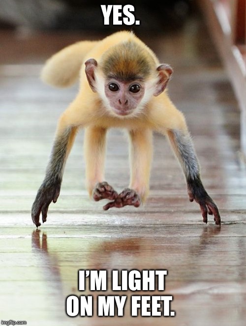 YES. I’M LIGHT ON MY FEET. | made w/ Imgflip meme maker