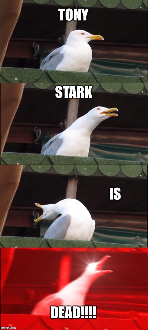 Inhaling Seagull Meme | TONY; STARK; IS; DEAD!!!! | image tagged in memes,inhaling seagull | made w/ Imgflip meme maker