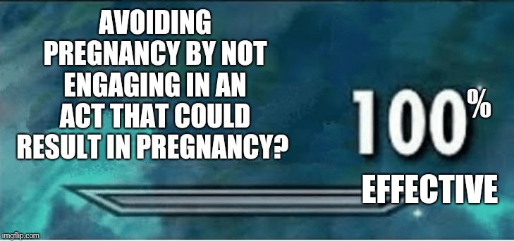 Skyrim 100 Blank | AVOIDING PREGNANCY BY NOT ENGAGING IN AN ACT THAT COULD RESULT IN PREGNANCY? % EFFECTIVE | image tagged in skyrim 100 blank | made w/ Imgflip meme maker
