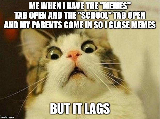 Scared Cat Meme | ME WHEN I HAVE THE "MEMES" TAB OPEN AND THE "SCHOOL" TAB OPEN AND MY PARENTS COME IN SO I CLOSE MEMES; BUT IT LAGS | image tagged in memes,scared cat | made w/ Imgflip meme maker