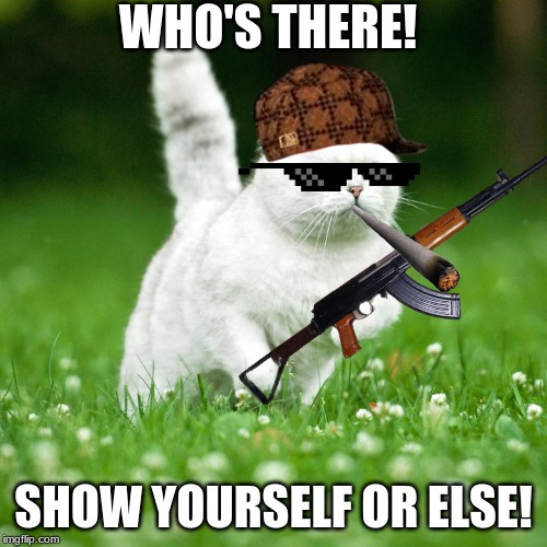 Defensive cat | WHO'S THERE! SHOW YOURSELF OR ELSE! | image tagged in memes | made w/ Imgflip meme maker