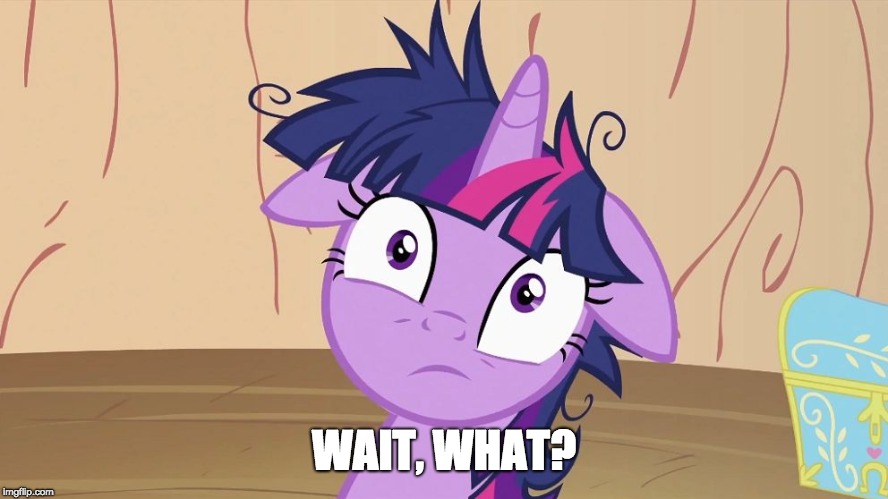 Messy Twilight Sparkle | WAIT, WHAT? | image tagged in messy twilight sparkle | made w/ Imgflip meme maker