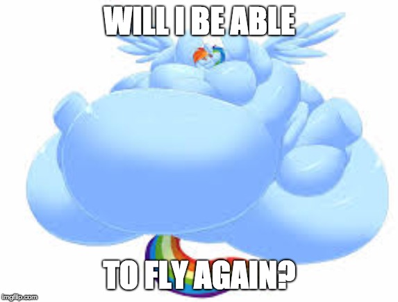 Too much food! | WILL I BE ABLE; TO FLY AGAIN? | image tagged in memes,rainbow dash,fat | made w/ Imgflip meme maker