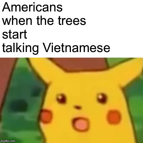 Surprised Pikachu | Americans when the trees start talking Vietnamese | image tagged in memes,surprised pikachu | made w/ Imgflip meme maker