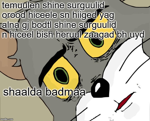 Unsettled Tom Meme | temuulen shine surguulid orood hiceele sn hiiged yag alna gj bodtl shine surguulid n hiceel bish heruul zaagad bh uyd; shaalda badmaa | image tagged in memes,unsettled tom | made w/ Imgflip meme maker