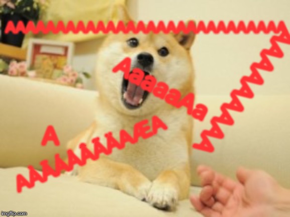 aaaaaaaaaaaaaaaaaaaaaaaaaaaa | AAAAAAAAAAAAAAAAAAAAAAAAAAAA; AaaaaAa; AAAAAAAAA; A; AÀĀÁÅÂÃÄAÆA | image tagged in doge | made w/ Imgflip meme maker
