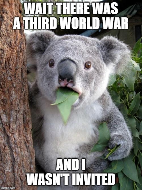 Surprised Koala | WAIT THERE WAS A THIRD WORLD WAR; AND I WASN'T INVITED | image tagged in memes,surprised koala | made w/ Imgflip meme maker