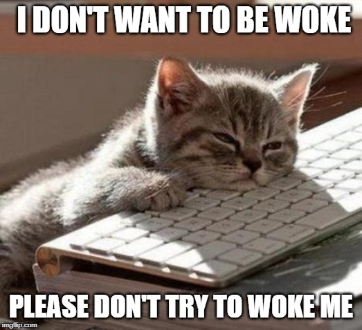 tired cat | I DON'T WANT TO BE WOKE; PLEASE DON'T TRY TO WOKE ME | image tagged in tired cat | made w/ Imgflip meme maker