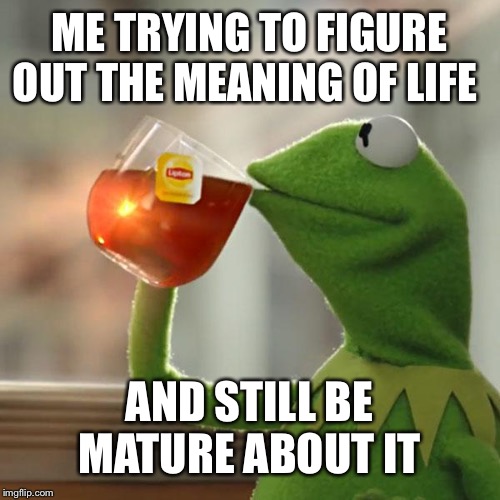 But That's None Of My Business Meme | ME TRYING TO FIGURE OUT THE MEANING OF LIFE; AND STILL BE MATURE ABOUT IT | image tagged in memes,but thats none of my business,kermit the frog | made w/ Imgflip meme maker