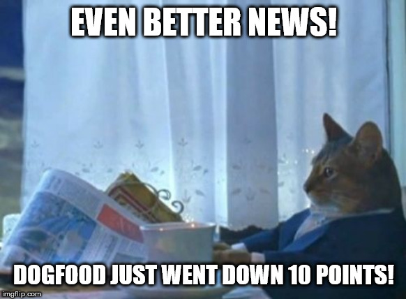 I Should Buy A Boat Cat Meme | EVEN BETTER NEWS! DOGFOOD JUST WENT DOWN 10 POINTS! | image tagged in memes,i should buy a boat cat | made w/ Imgflip meme maker
