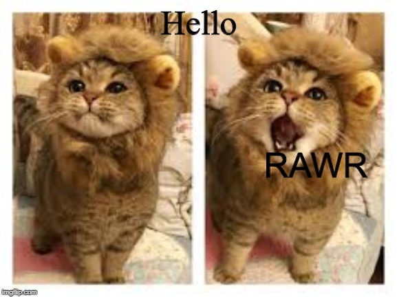 Hello; RAWR | made w/ Imgflip meme maker