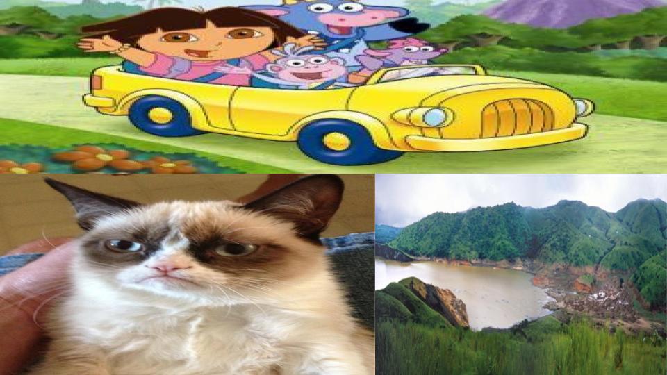 High Quality Grumpy cat Meme of 2020 Blank Meme Template