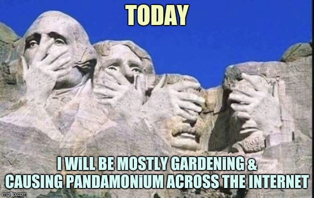 TODAY; I WiLL BE MOSTLY GARDENiNG & CAUSING PANDAMONiUM ACROSS THE INTERNET | image tagged in qanon | made w/ Imgflip meme maker