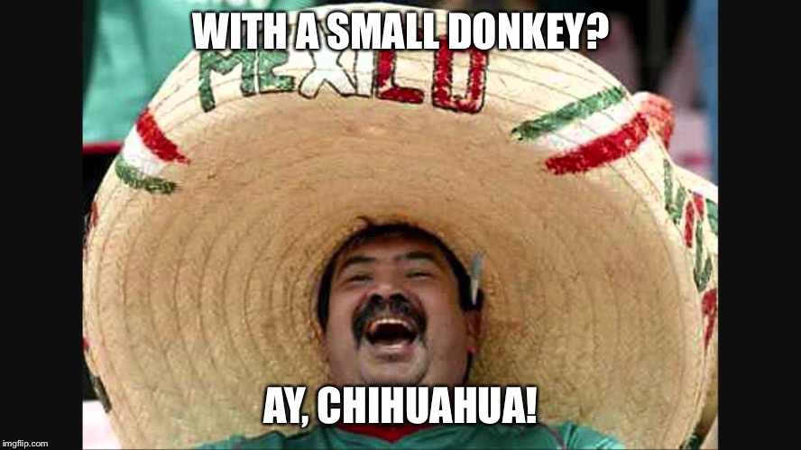 WITH A SMALL DONKEY? AY, CHIHUAHUA! | made w/ Imgflip meme maker