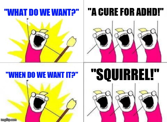 What Do We Want Meme | "WHAT DO WE WANT?"; "A CURE FOR ADHD!"; "WHEN DO WE WANT IT?"; "SQUIRREL!" | image tagged in memes,what do we want | made w/ Imgflip meme maker