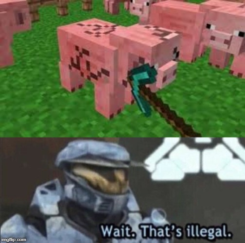 Minecraft mining pigs | image tagged in wait thats illegal,pig,funny,memes,minecraft,diamonds | made w/ Imgflip meme maker