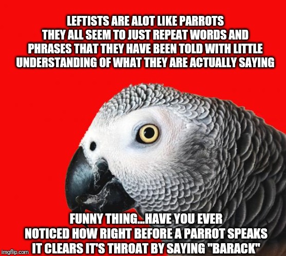 Repeating Parrot named Cishet | LEFTISTS ARE ALOT LIKE PARROTS
THEY ALL SEEM TO JUST REPEAT WORDS AND PHRASES THAT THEY HAVE BEEN TOLD WITH LITTLE UNDERSTANDING OF WHAT THEY ARE ACTUALLY SAYING; FUNNY THING...HAVE YOU EVER NOTICED HOW RIGHT BEFORE A PARROT SPEAKS IT CLEARS IT'S THROAT BY SAYING "BARACK" | image tagged in repeating parrot named cishet | made w/ Imgflip meme maker