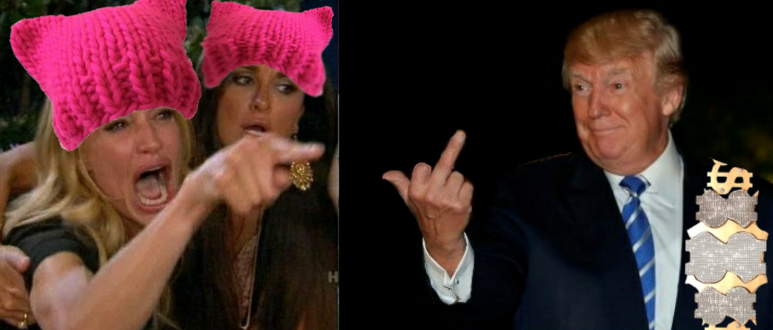 High Quality Pussyhat woman yelling at Trump Blank Meme Template