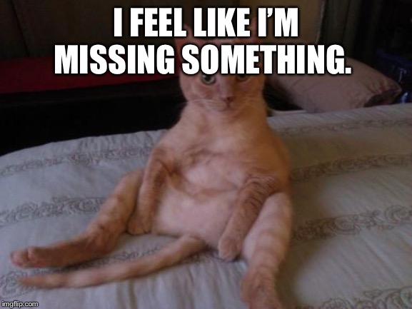 Chester The Cat Meme | I FEEL LIKE I’M MISSING SOMETHING. | image tagged in memes,chester the cat | made w/ Imgflip meme maker