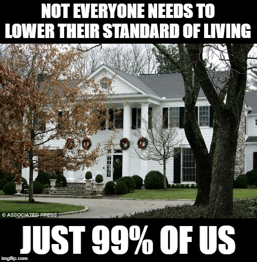 Al Gore's House | NOT EVERYONE NEEDS TO LOWER THEIR STANDARD OF LIVING; JUST 99% OF US | image tagged in al gore,house,climate change,lies,elite | made w/ Imgflip meme maker