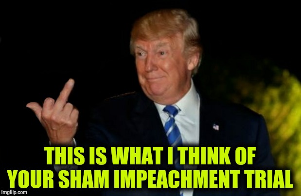 TDS is a hell of a mental illness... | THIS IS WHAT I THINK OF YOUR SHAM IMPEACHMENT TRIAL | image tagged in trump gives the bird,memes,funny memes,political meme,impeachment,politics | made w/ Imgflip meme maker