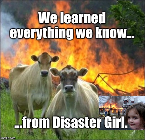 Evil Cows | We learned everything we know... ...from Disaster Girl. | image tagged in memes,evil cows,disaster girl | made w/ Imgflip meme maker