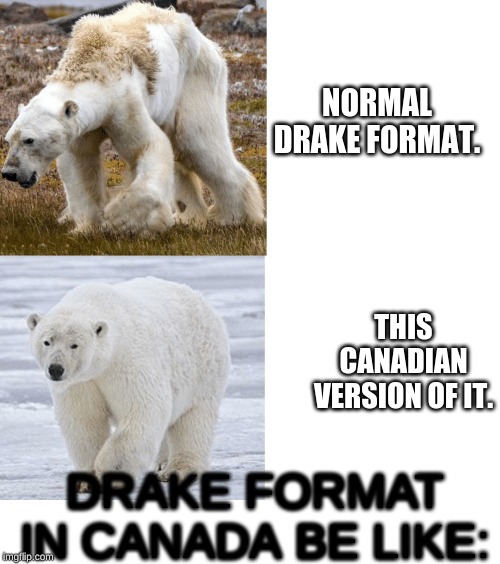 High Quality Canadian Drake Blank Meme Template