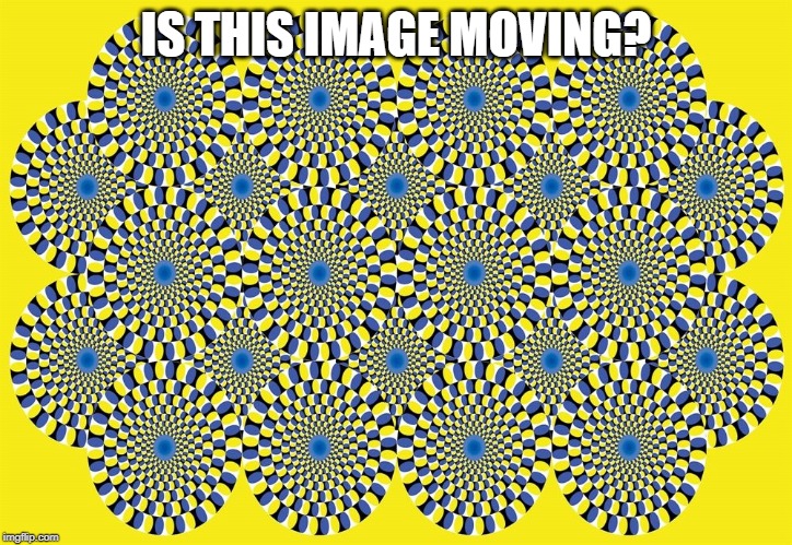 is this image moving? | IS THIS IMAGE MOVING? | image tagged in optical illusion | made w/ Imgflip meme maker