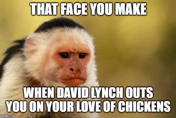 Grumpy Capuchin | THAT FACE YOU MAKE; WHEN DAVID LYNCH OUTS YOU ON YOUR LOVE OF CHICKENS | image tagged in grumpy capuchin | made w/ Imgflip meme maker