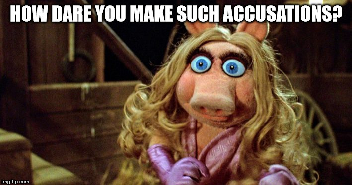 Miss Piggy Angry | HOW DARE YOU MAKE SUCH ACCUSATIONS? | image tagged in miss piggy angry | made w/ Imgflip meme maker