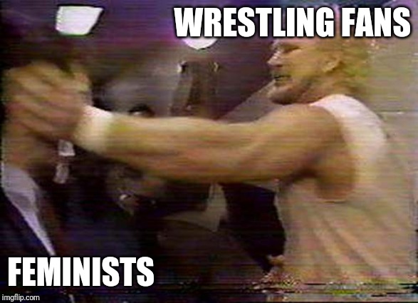 Toxic Wrestling | WRESTLING FANS; FEMINISTS | image tagged in pro wrestling | made w/ Imgflip meme maker