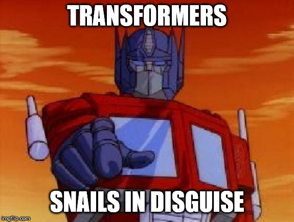 optimus prime | TRANSFORMERS SNAILS IN DISGUISE | image tagged in optimus prime | made w/ Imgflip meme maker